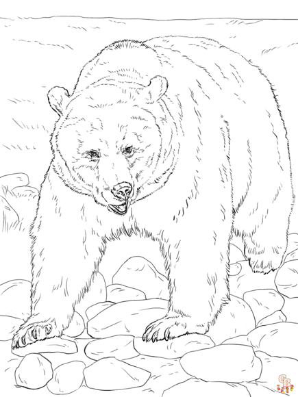 Free bear coloring pages for kids