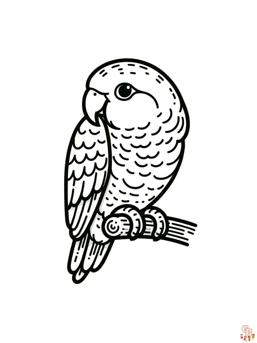 Quaker Parrots Coloring Page