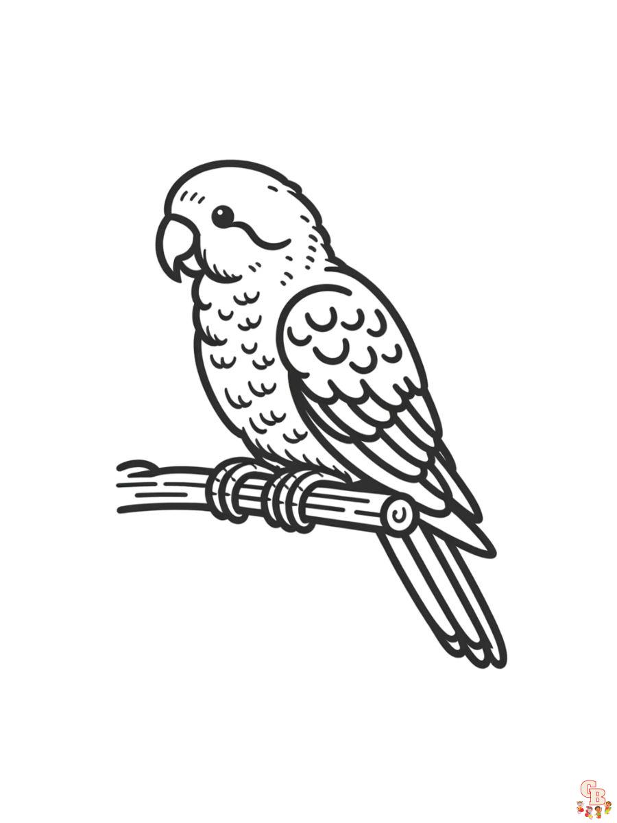 Quaker Parrots Coloring Pages free