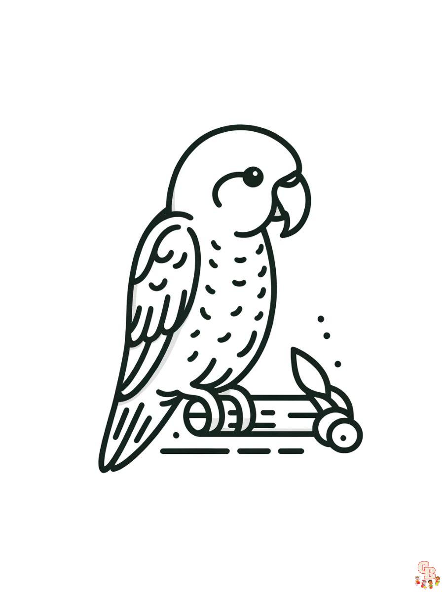 Quaker Parrots Coloring Pages printable