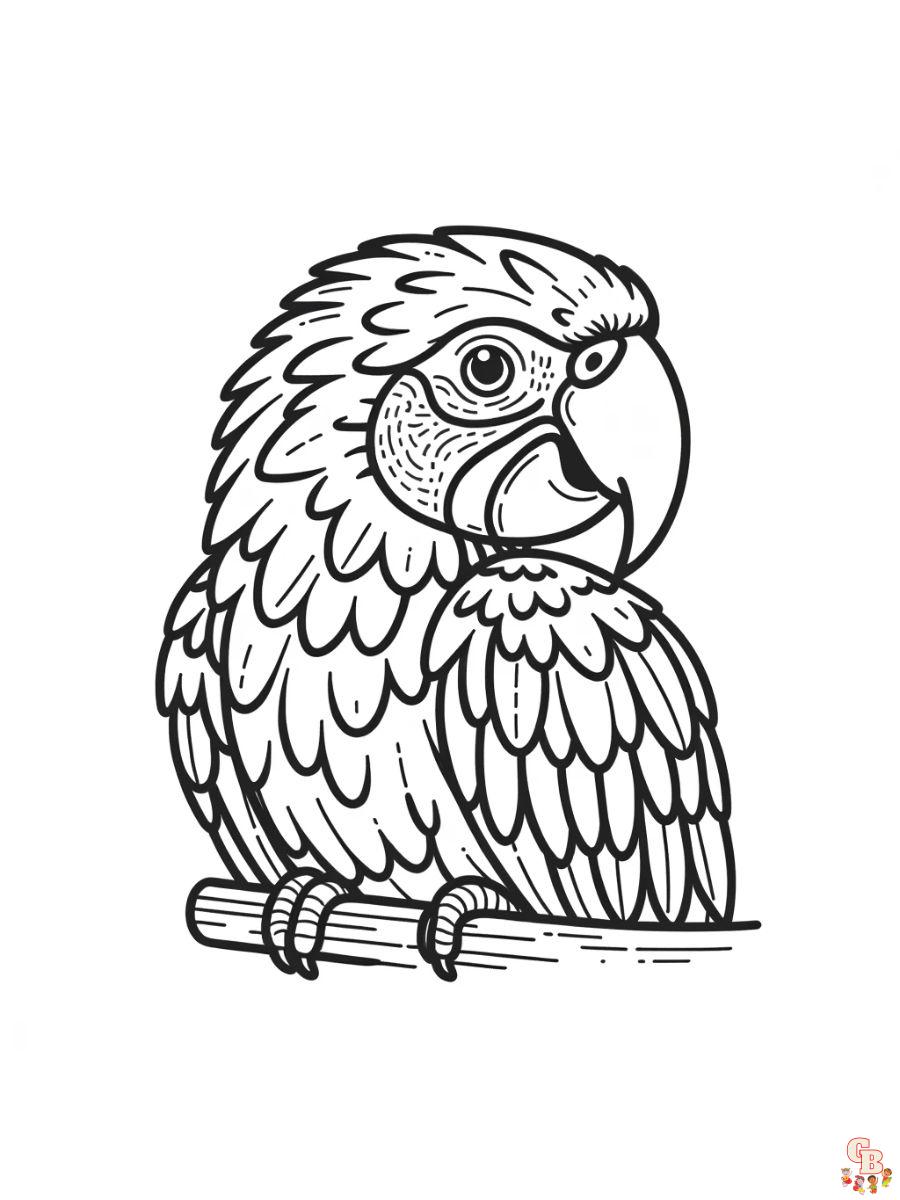 Scarlet macaw coloring pages easy