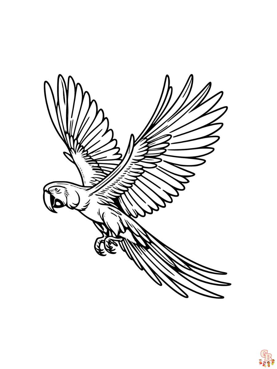 Scarlet macaw coloring pages for kids