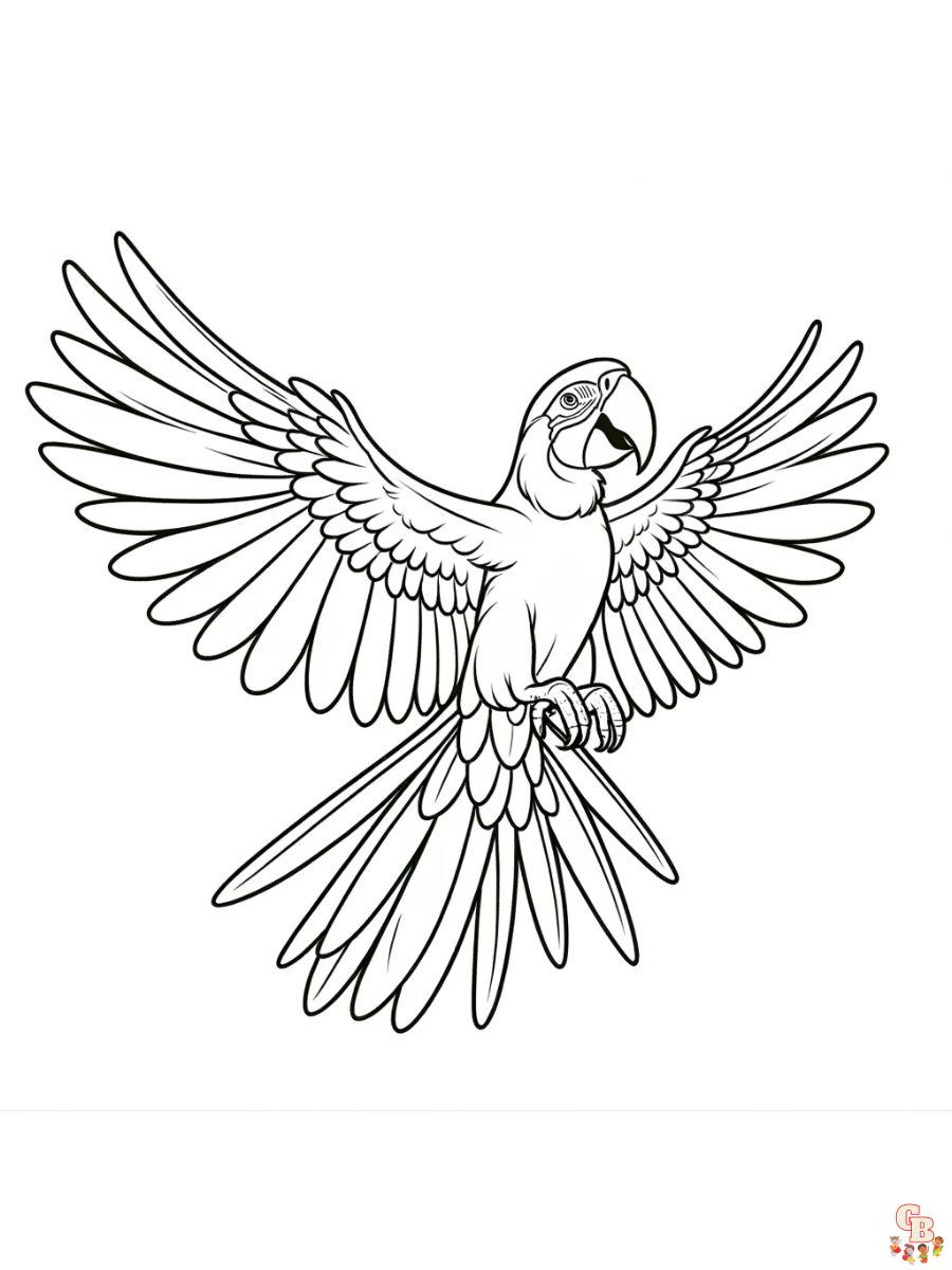 Scarlet macaw coloring pages free