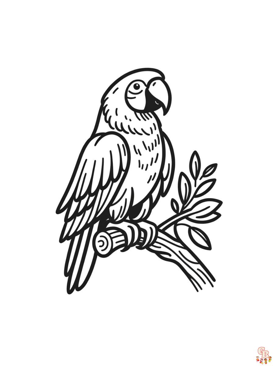 Scarlet macaw coloring pages printable