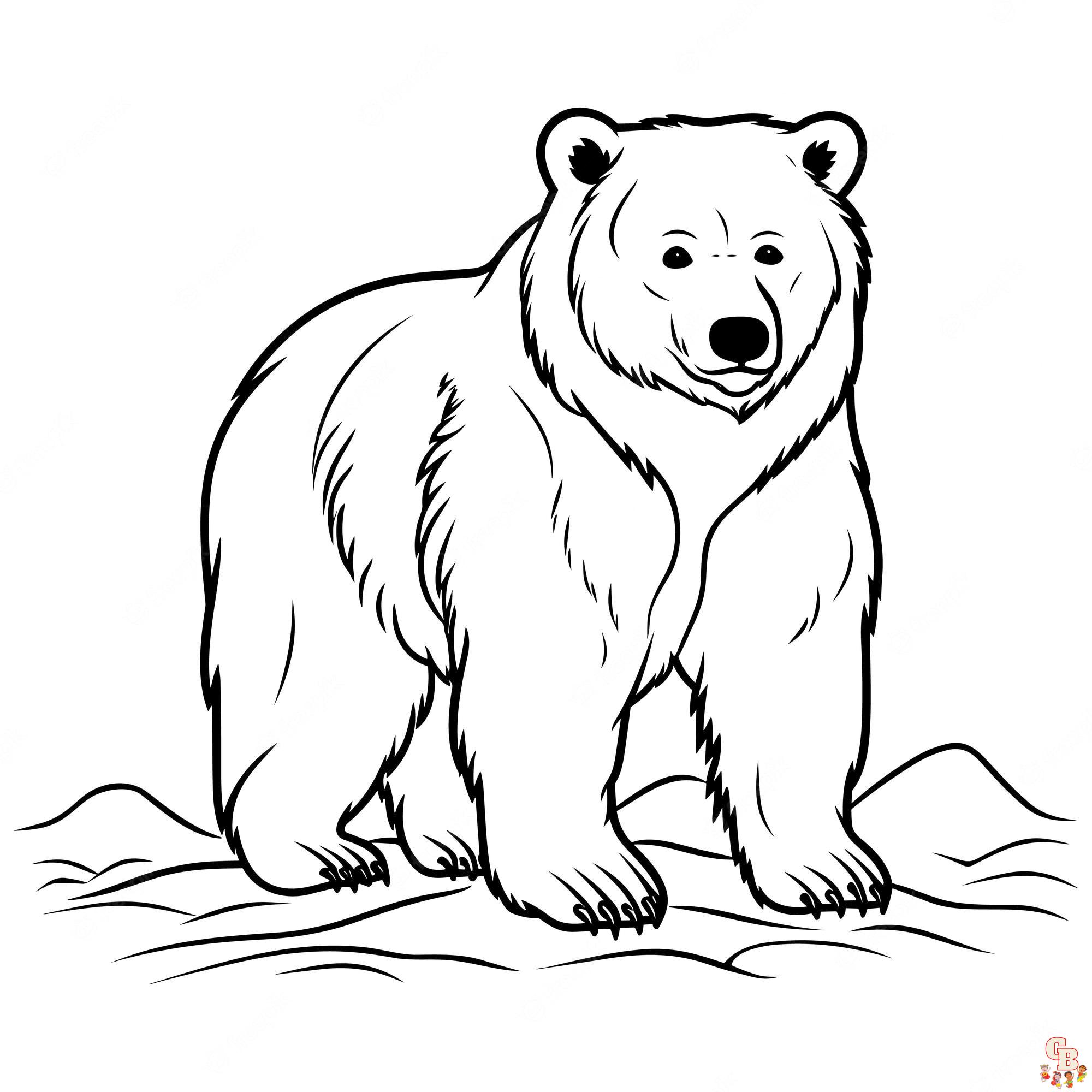 bear coloring pages for kid