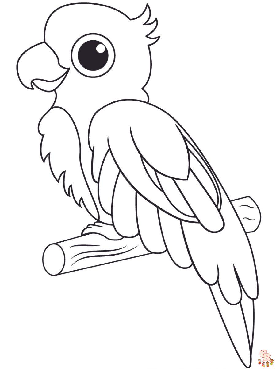 coloring page parrot