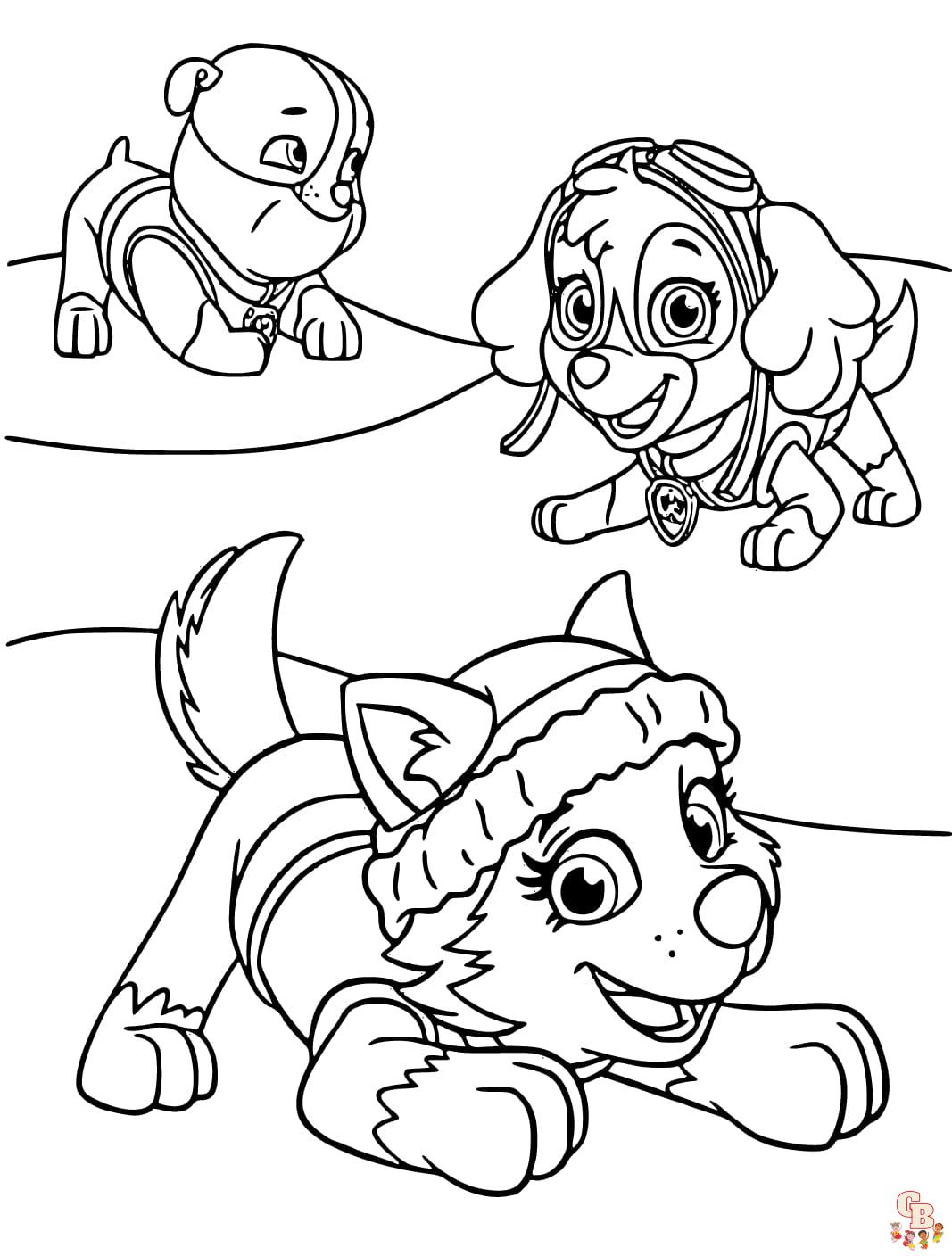 paw patrol skye coloring pages