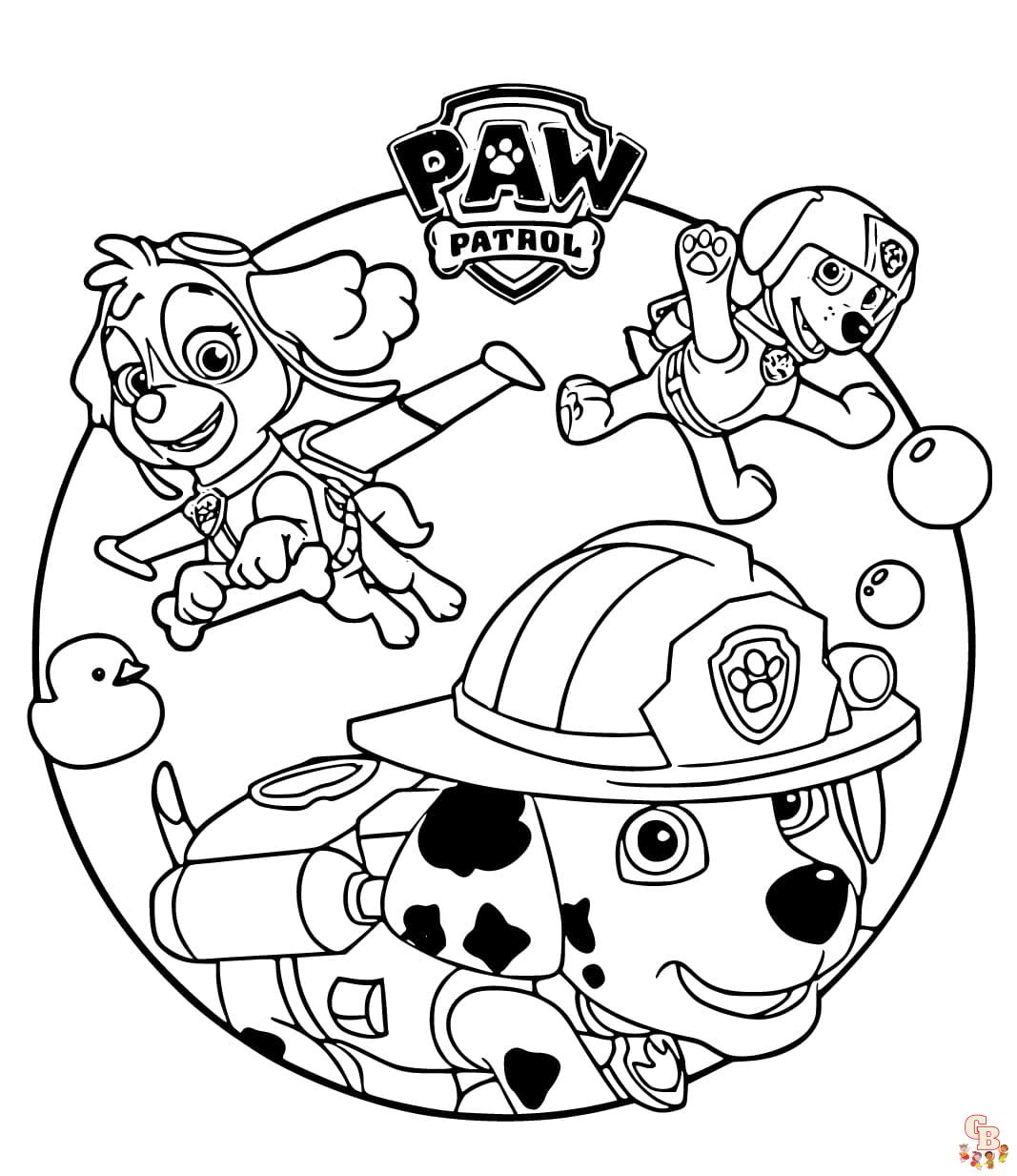 sky paw patrol coloring page