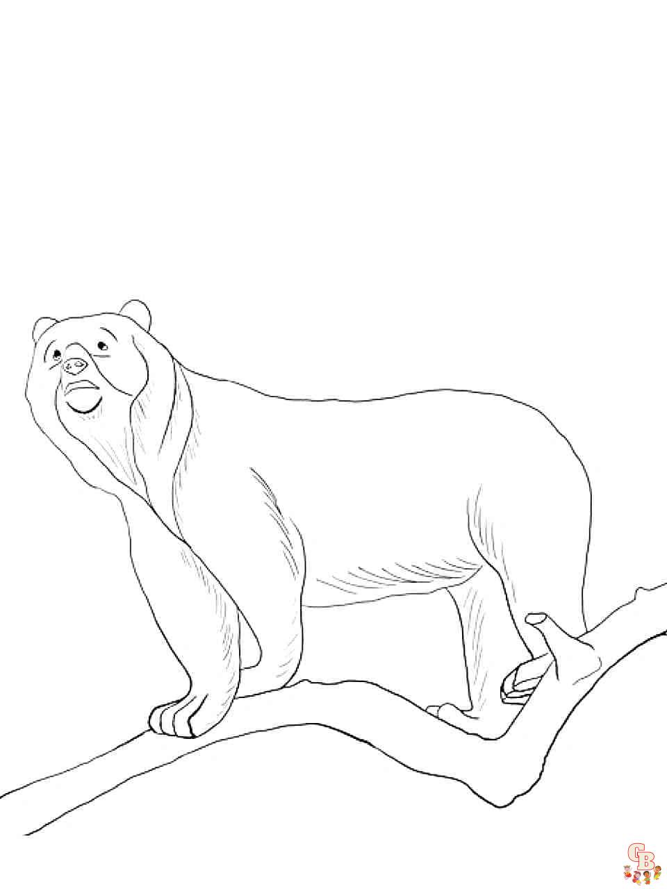 sun bear coloring pages free