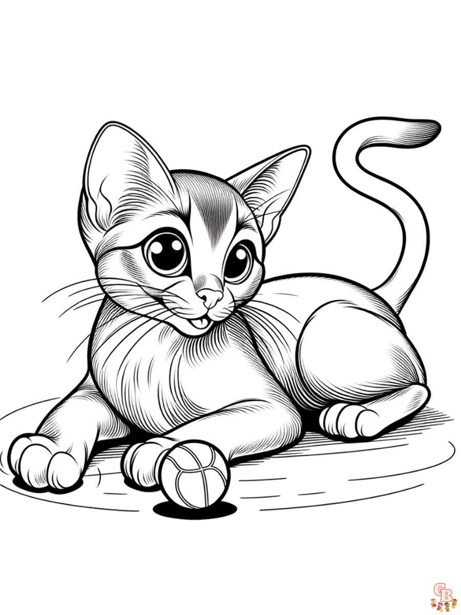 Abyssinian cat coloring page