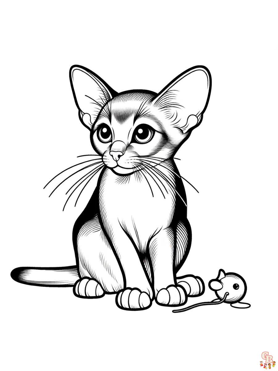 Abyssinian cat coloring pages easy