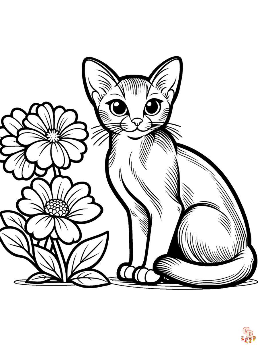 Abyssinian cat coloring pages