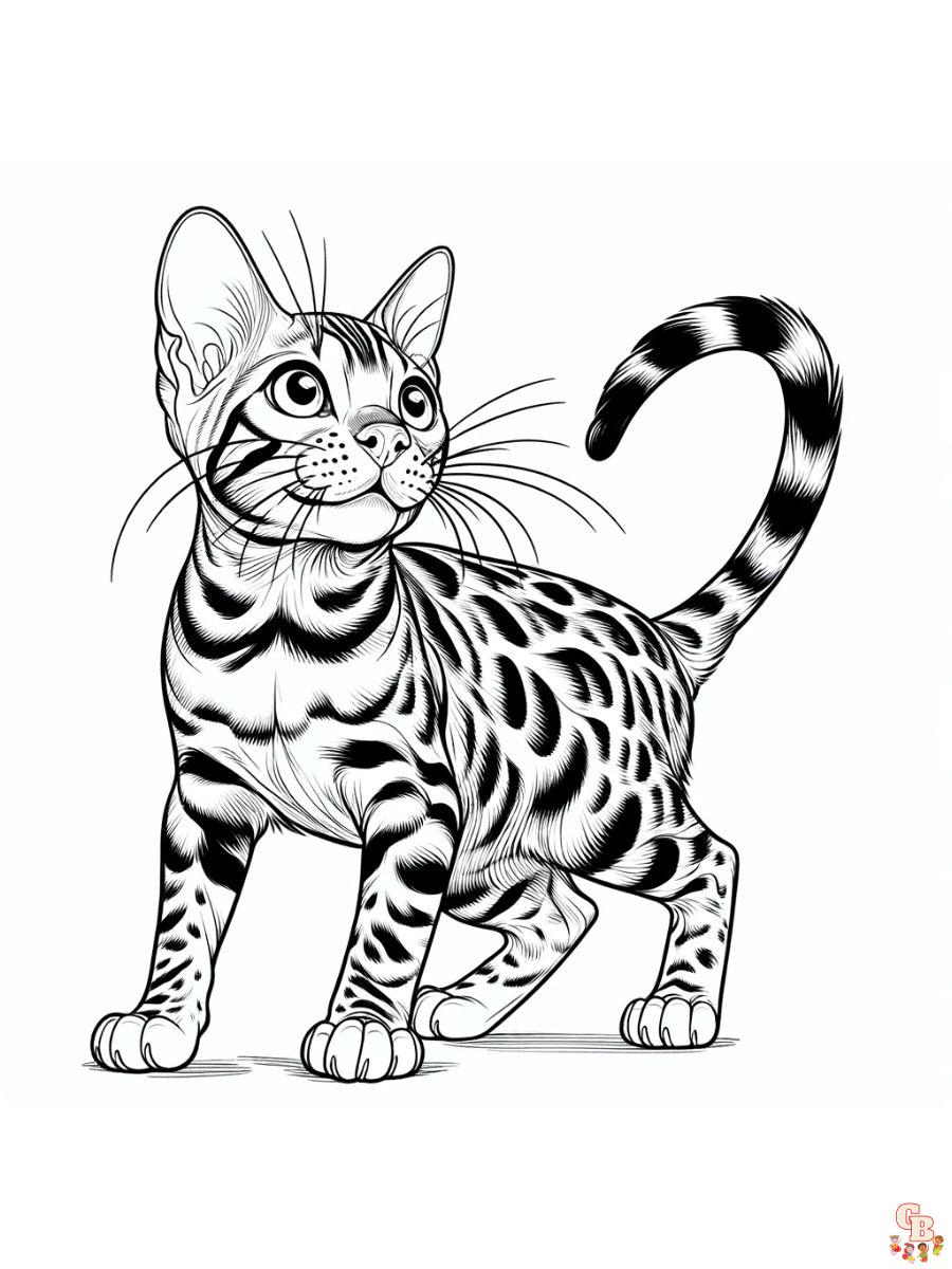 Bengal cat coloring pages for kids