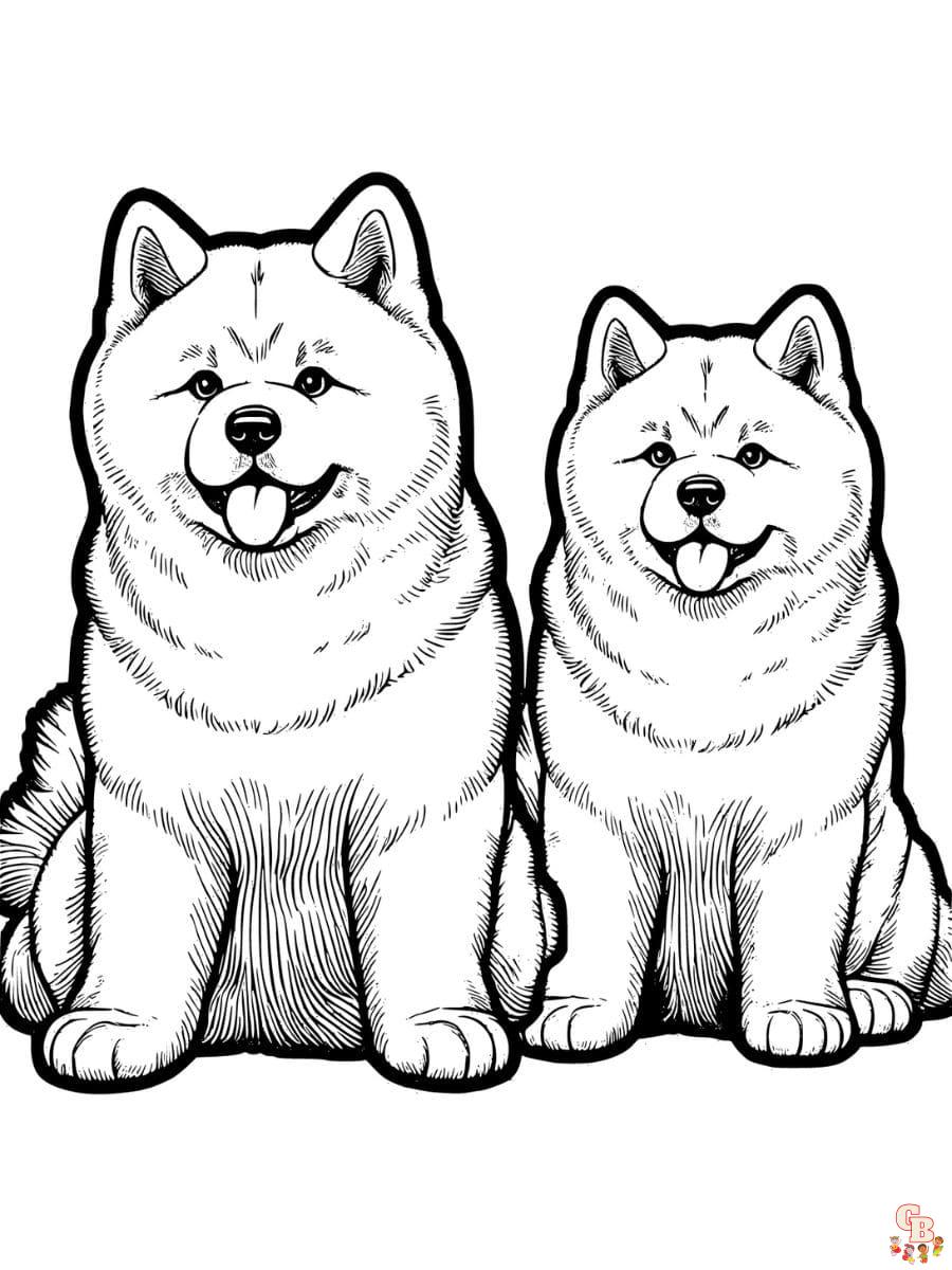 Cute akita coloring page