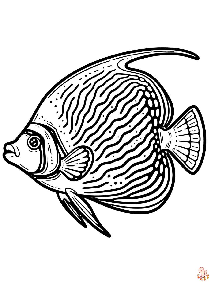 Emperor Angelfish Coloring Page