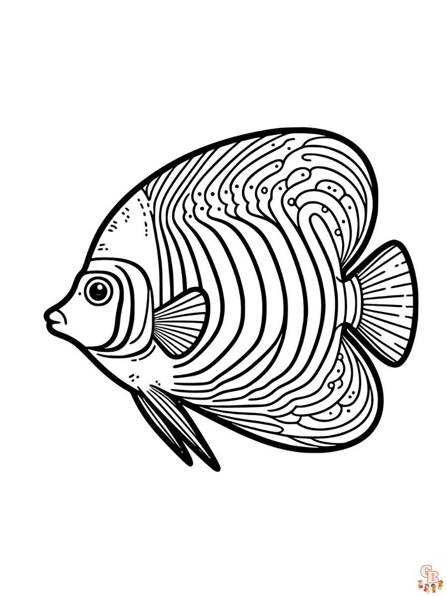 Emperor Angelfish Coloring Pages free