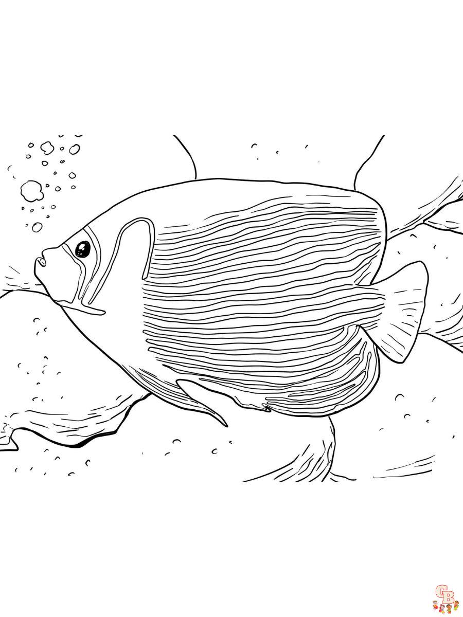 Emperor Angelfish Coloring Pages printablle