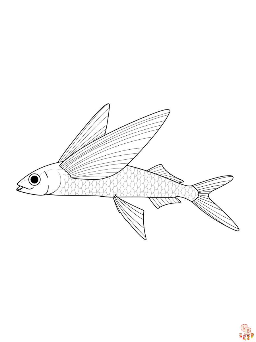 Flying Fish coloring pages free printable