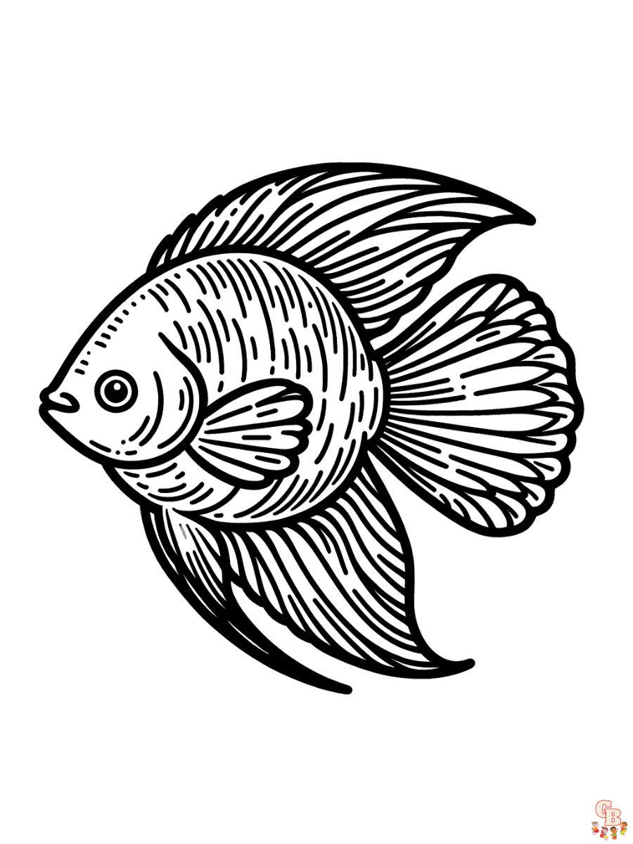 Freshwater Angelfishes Coloring Page