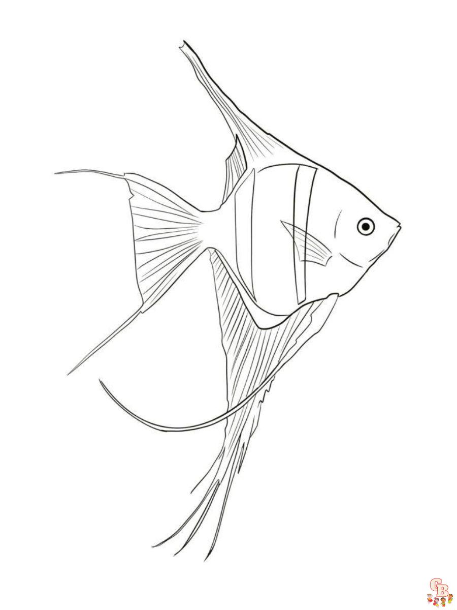 Freshwater Angelfishes Coloring Pages free