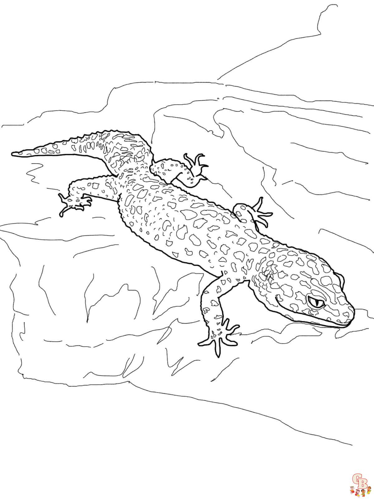 Gecko Coloring Sheets free