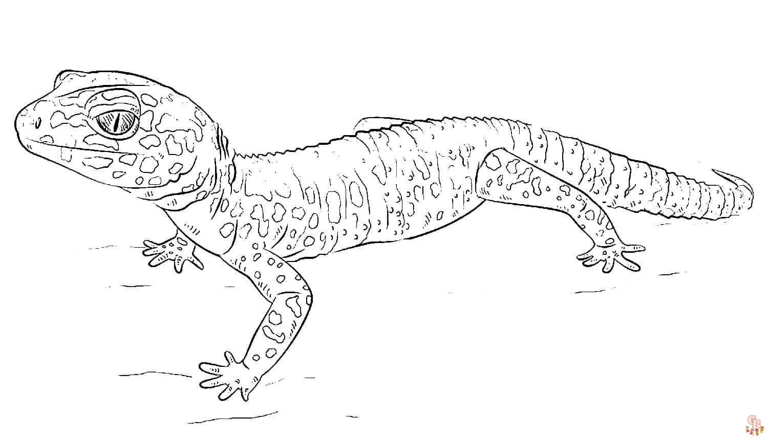 Gecko coloring pages printable