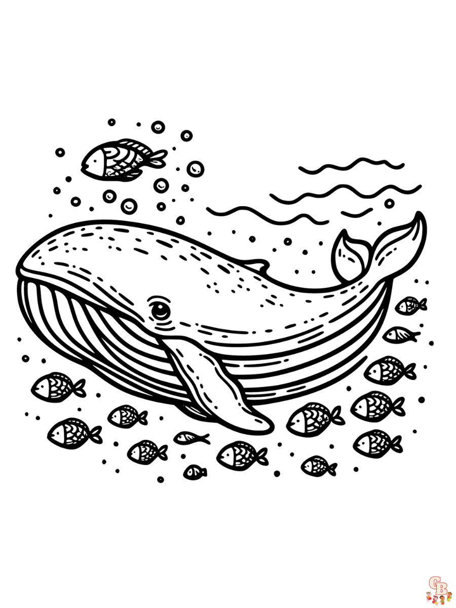 Humpback Whale Coloring Page