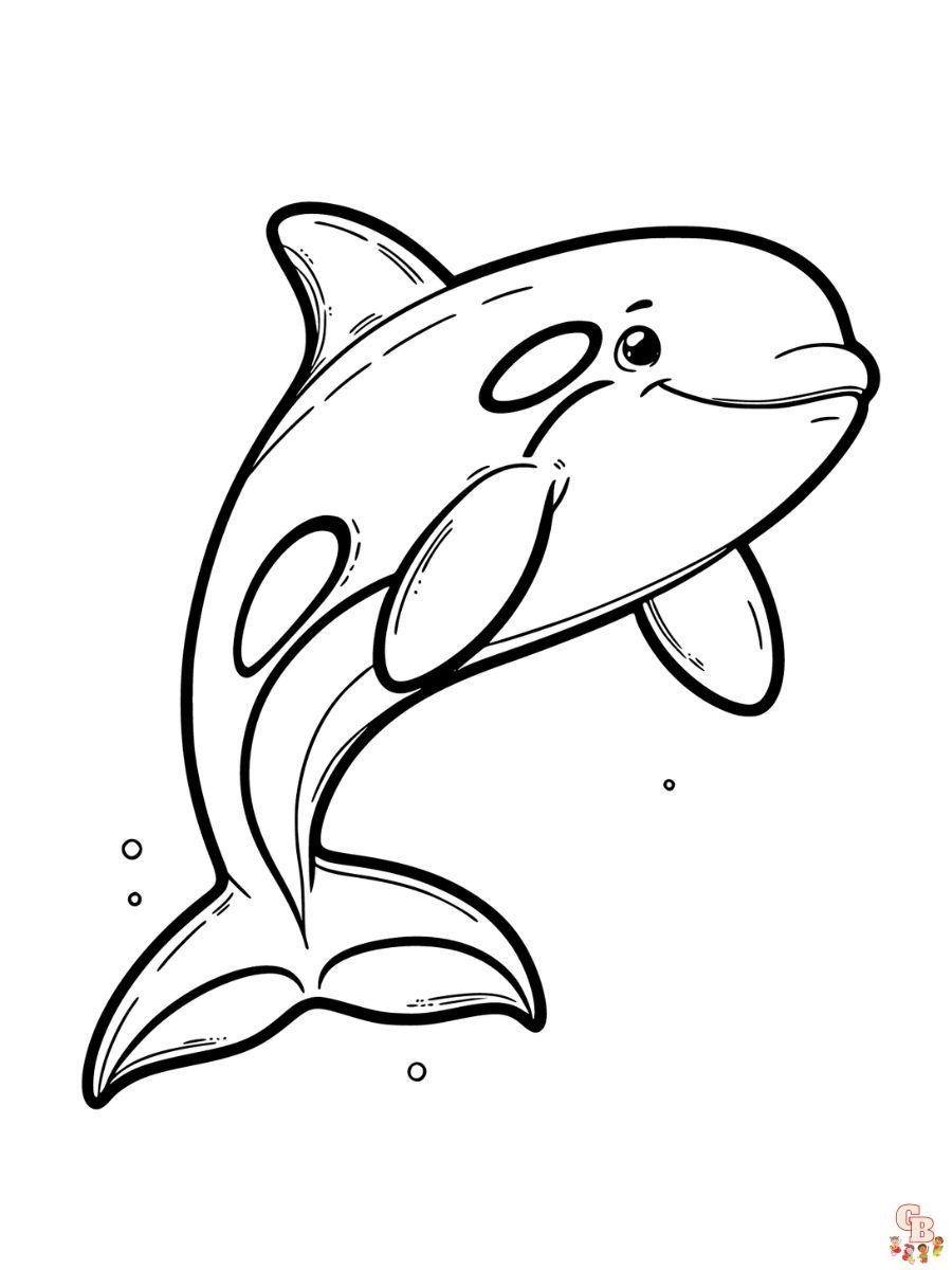 Killer Whale Coloring Pages