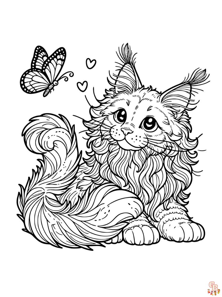 Maine Coon colorring pages for kids