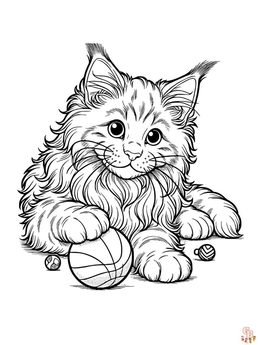 Maine Coon colorring pages free