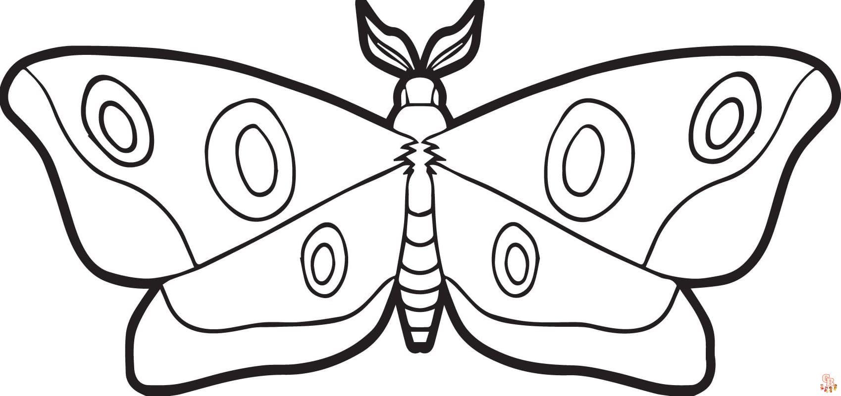 Moth Coloring Sheets