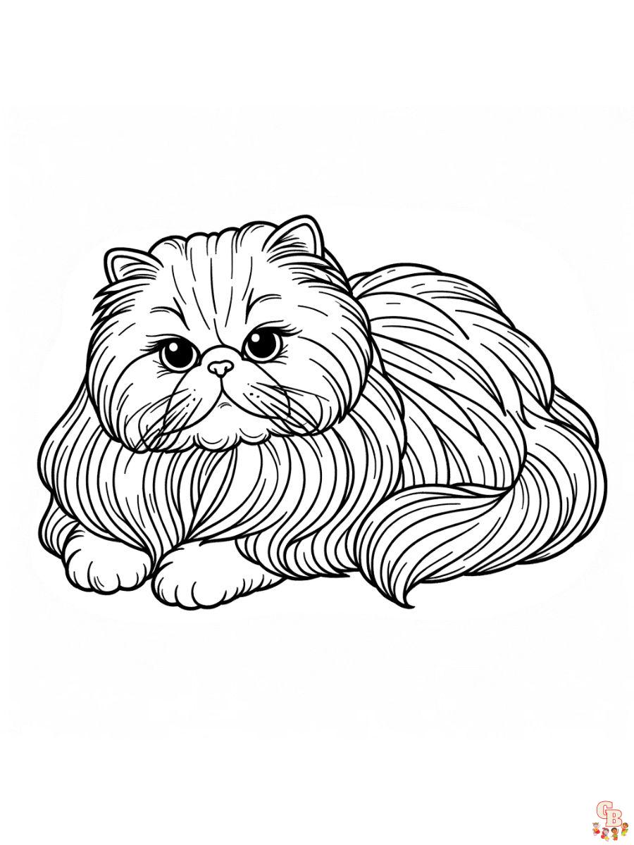 Persian cat coloring pages