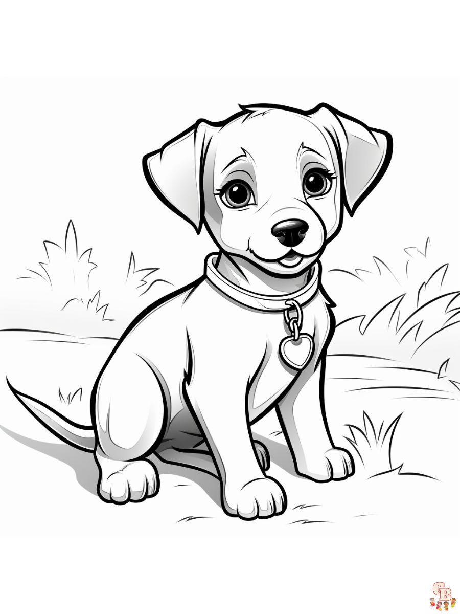 Pet coloring pages