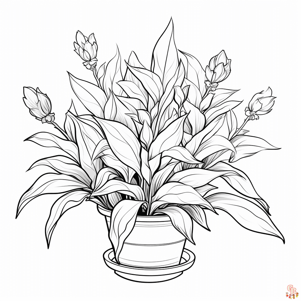 Plant Coloring Sheets free