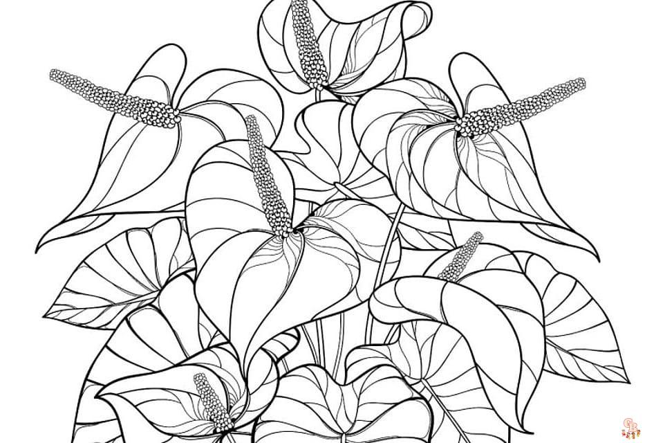 Plant Coloring Sheets