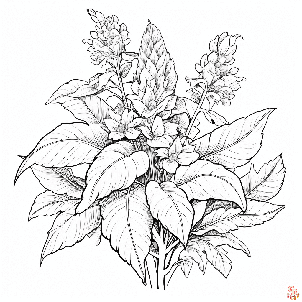 Plant coloring pages free