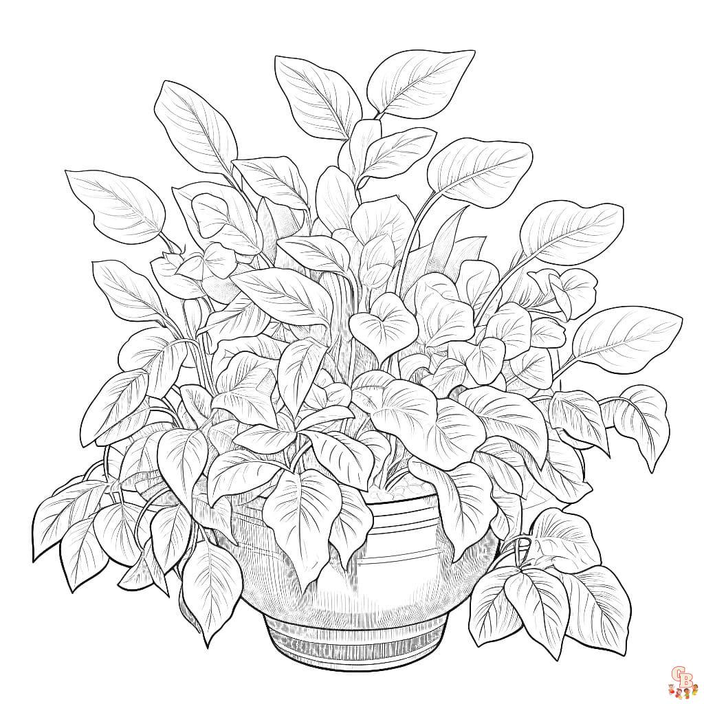 Plant coloring pages printable free