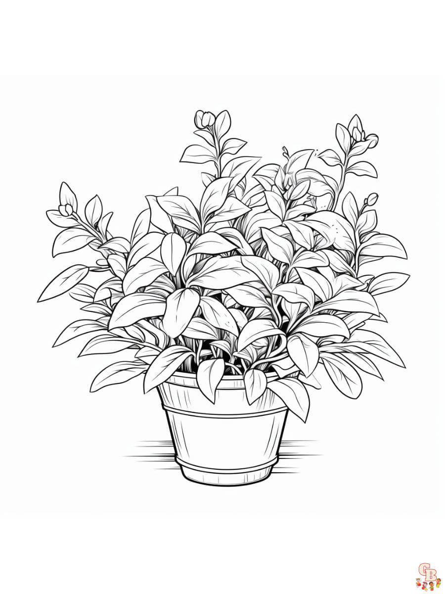 Plant coloring pages