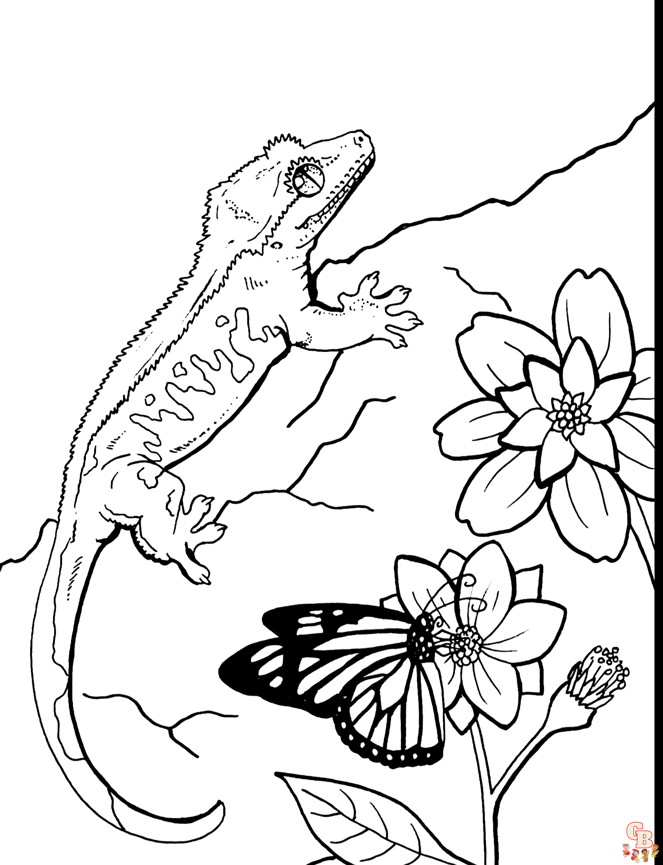 Printable Gecko coloring sheets