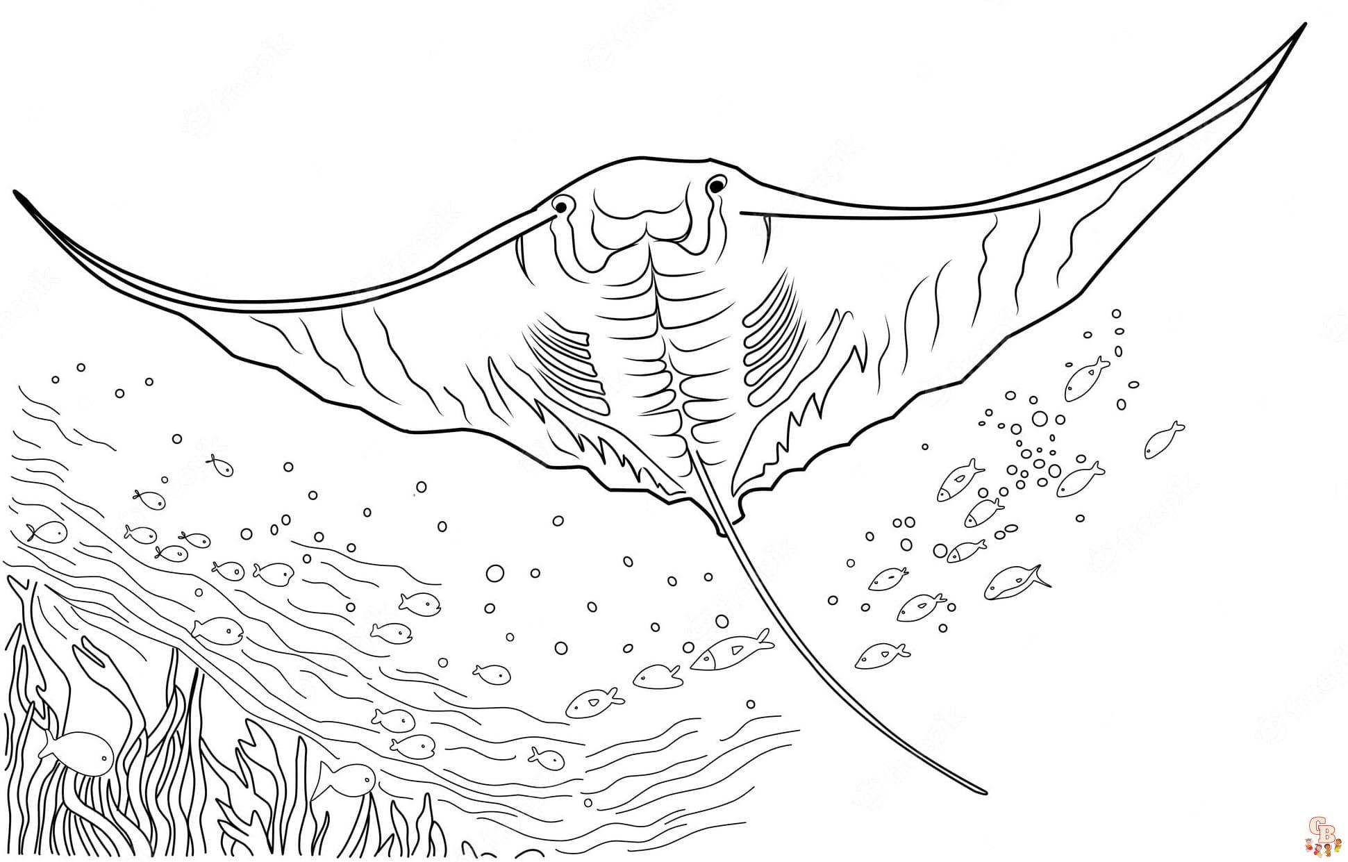 Printable Stingray coloring sheets