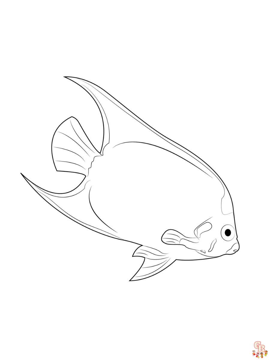 Queen Angelfish Coloring Pages