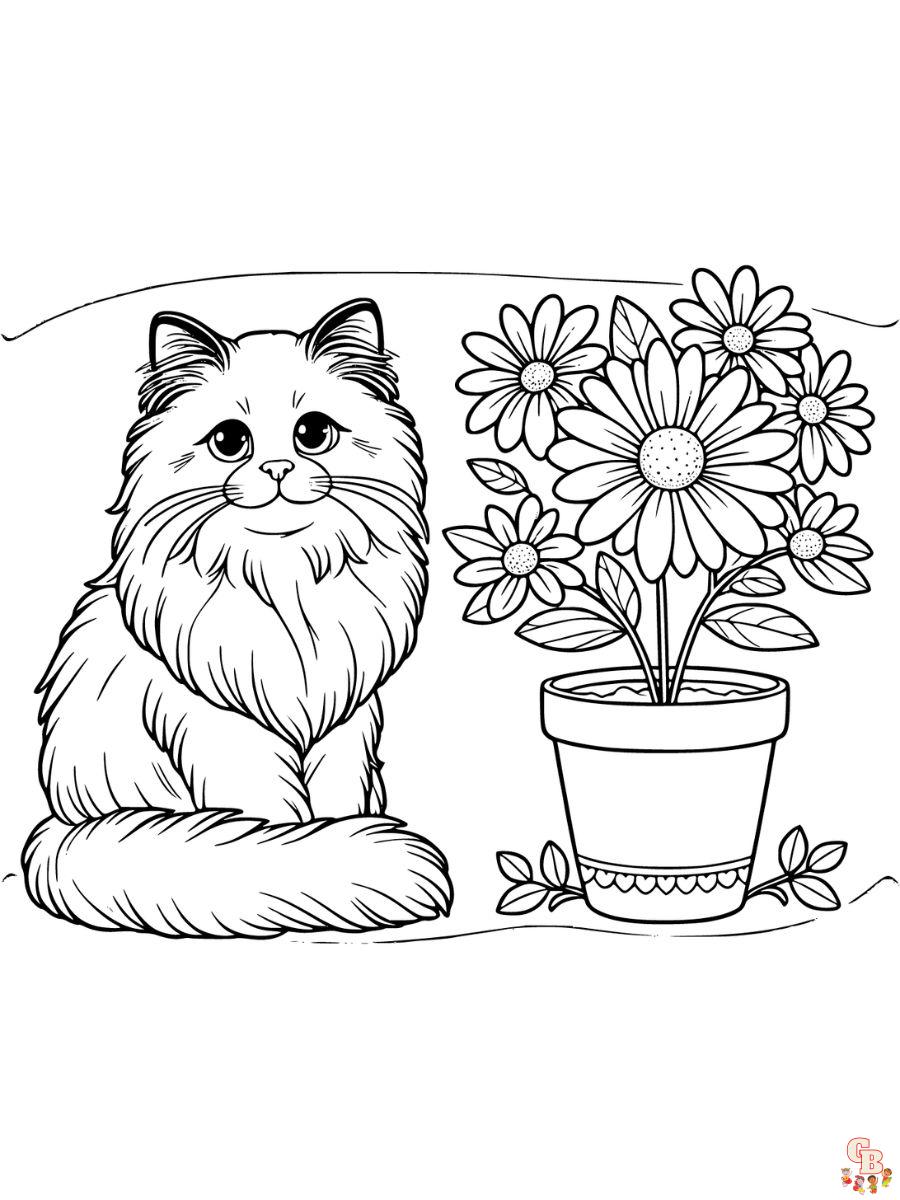 Ragdoll coloring page