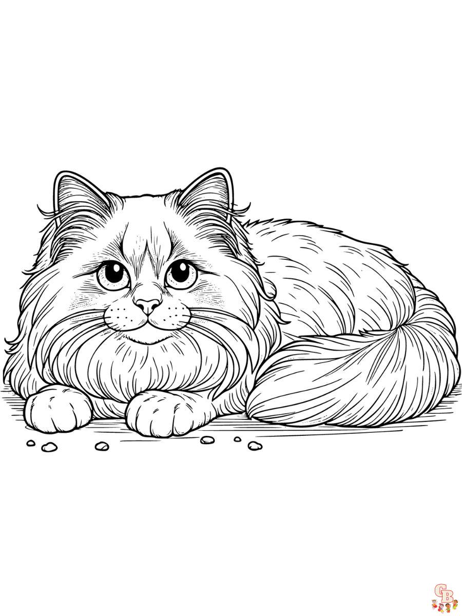 Ragdoll coloring pages easy