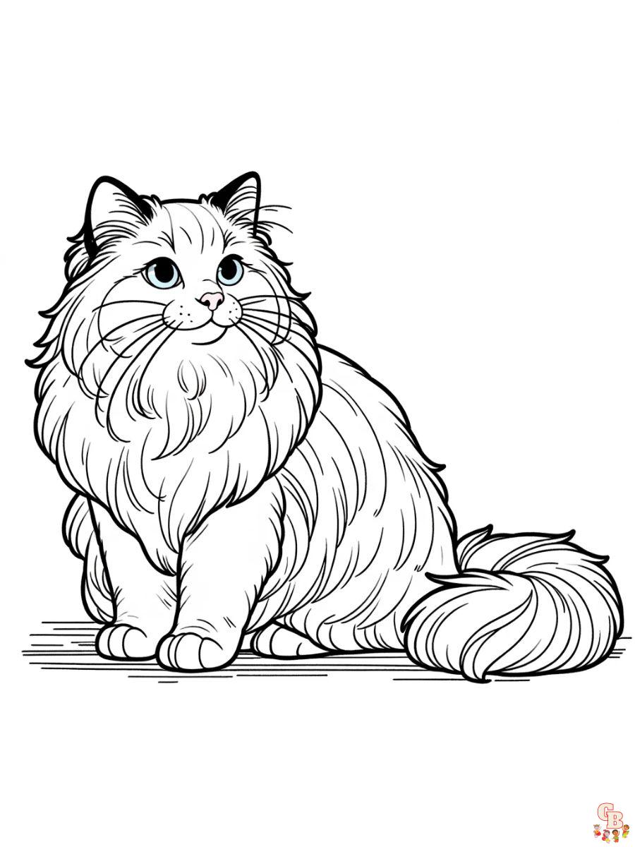 Ragdoll coloring pages for kids