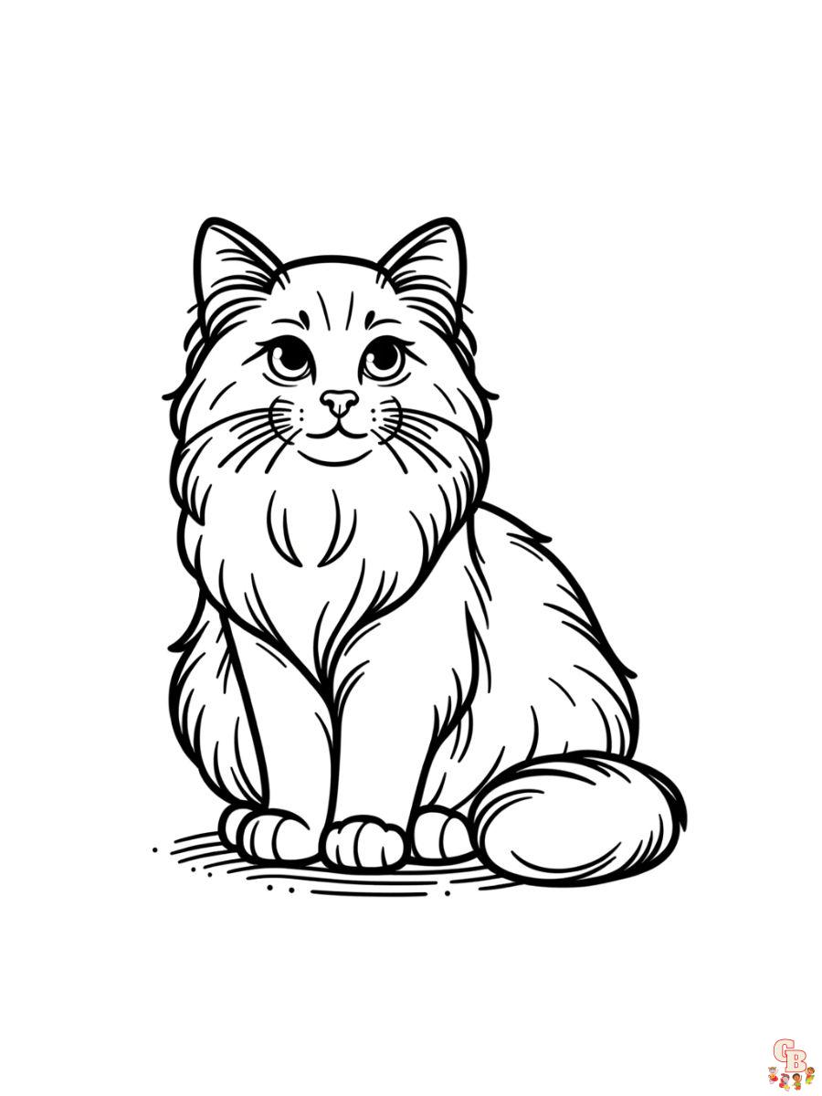 Ragdoll coloring pages free