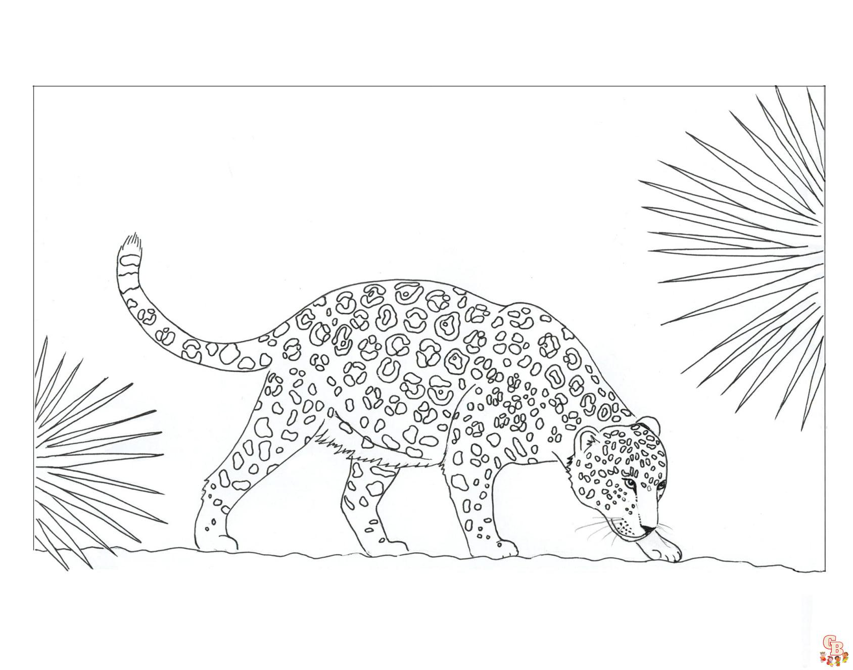 Rainforest Coloring Pages 1