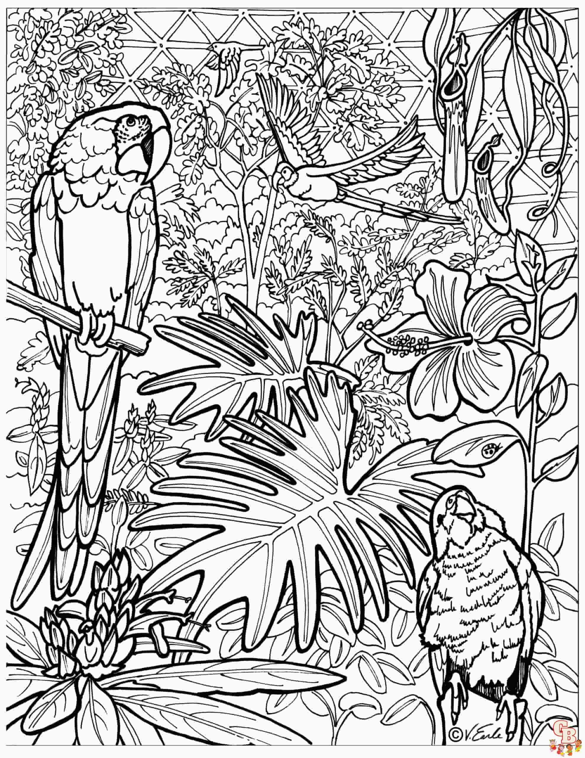 Rainforest Coloring Pages 15 scaled