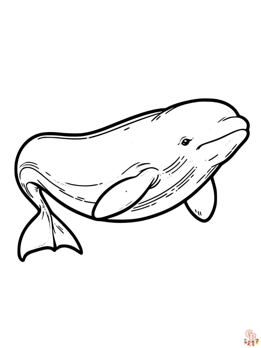 Realistic Whale Coloring Pages