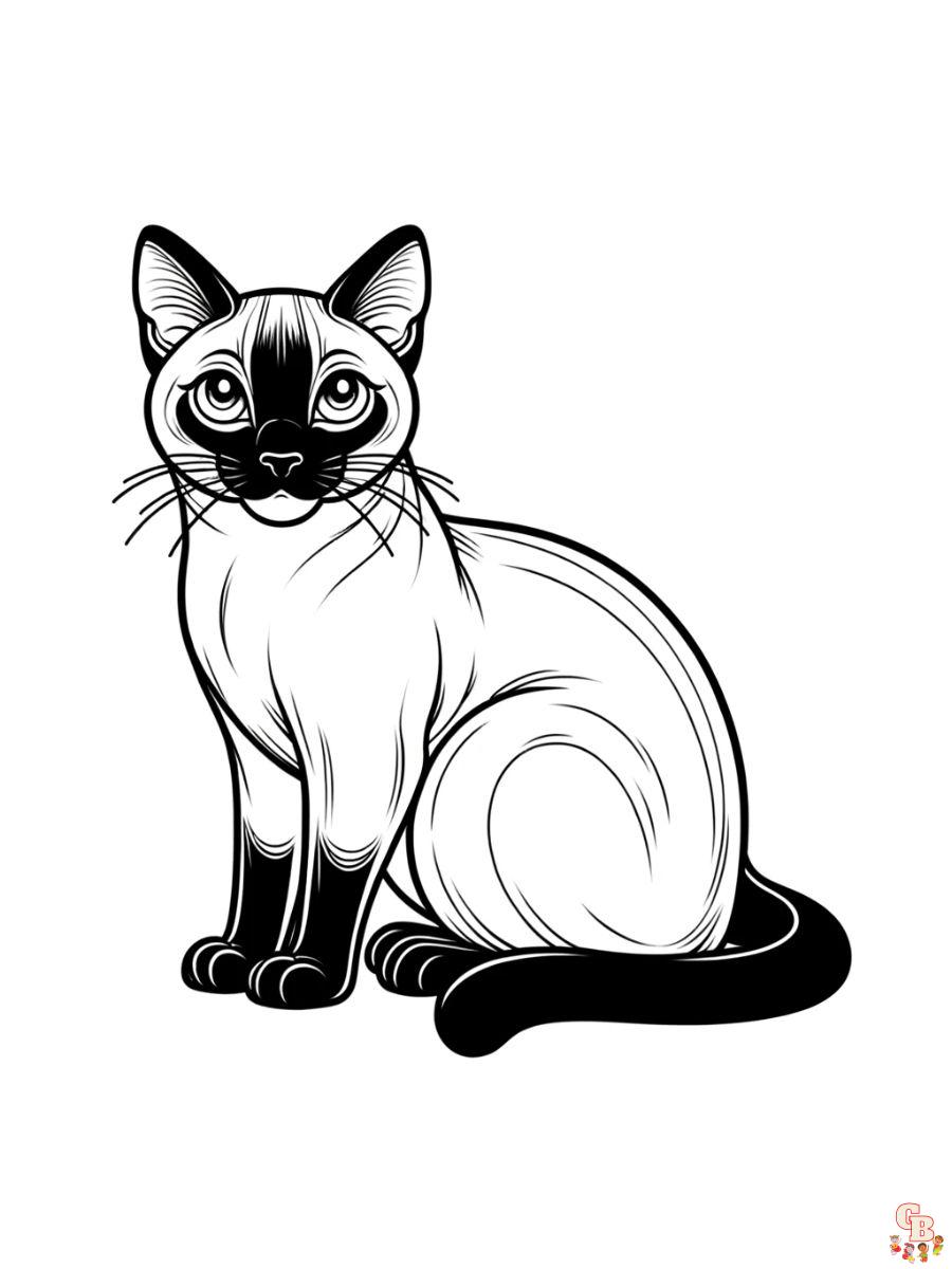 Siamese cat coloring pages printable