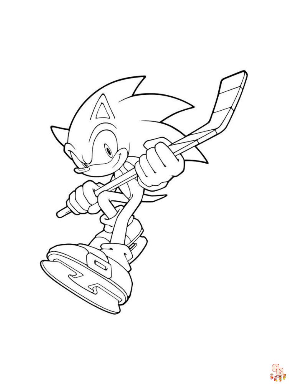 Sonic Playing Hockey